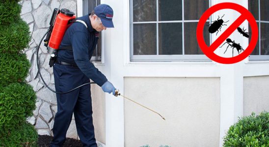 Orta Akrep İlaçlama böcek ilaçlama ve haşere kontrolü — ilaclama-tr.com